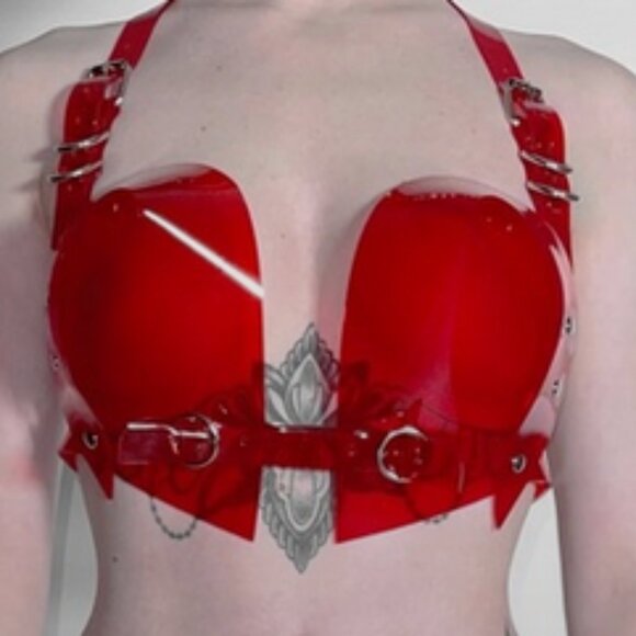 NWOT! Jivomir Domoustchiev 2 Piece  (Bra + Choker) Set Size S - Picture 5 of 6